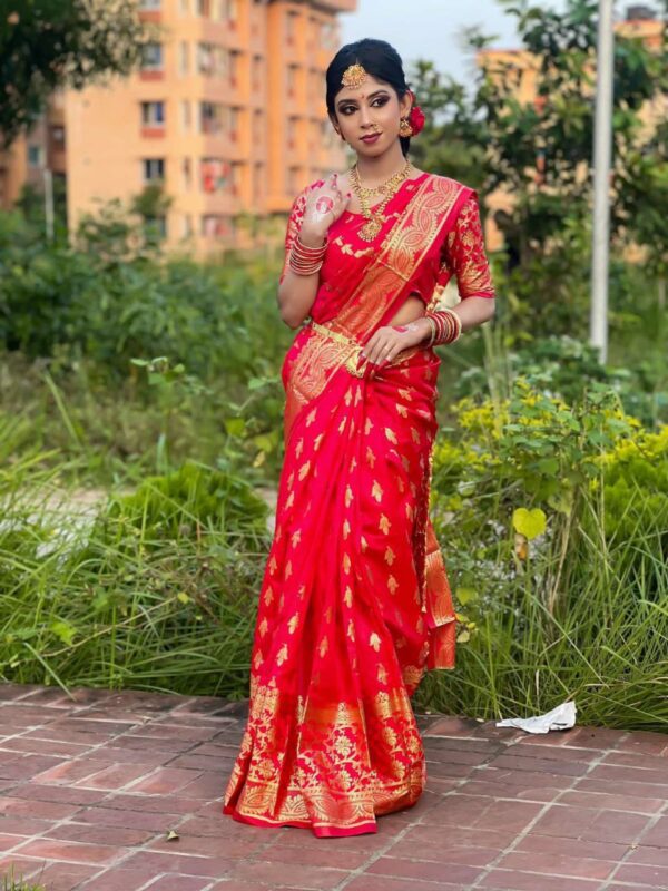 South Indian Inspired Katan Saree